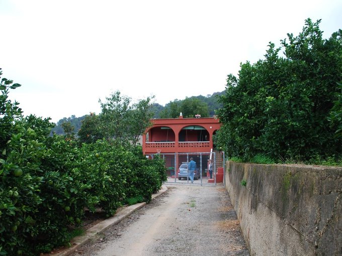 Casa de campo con 14000 m2 de naranjos.